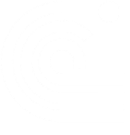 The Lifelong Wave Project